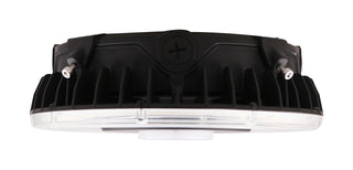 25W LED CANOPY LIGHT