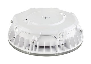 40W LED CANOPY LIGHT