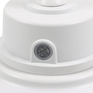 LED GOOSENECK WHITE FINISH