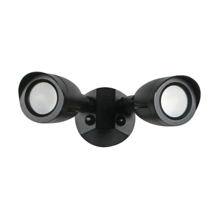 LED 2 BULLET HEAD SECURITY LGT