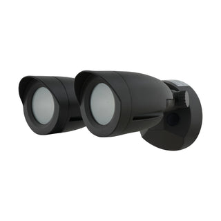 LED 2 BULLET HEAD SECURITY LGT