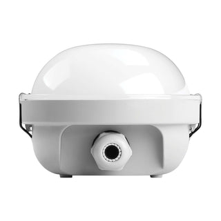 8' LINEAR VAPOR PROOF W/SENSOR