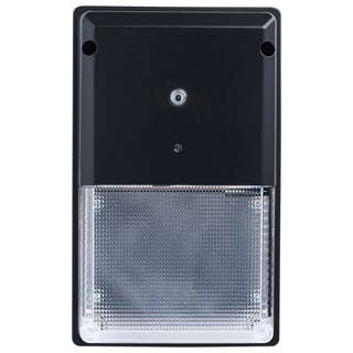 LED TURTLE SAFE SM WALL PACK