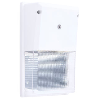 LED TURTLE SAFE SM WALL PACK