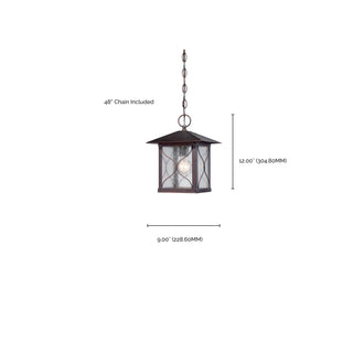 Vega One Light Hanging Lantern in Classic Bronze