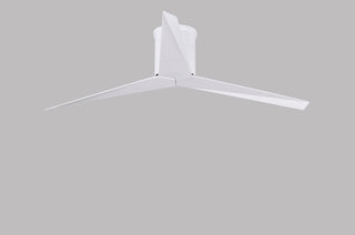 Eliza-H 56" Ceiling Fan in Gloss White