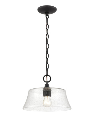 Caily 1-Light Pendant light Matte Black