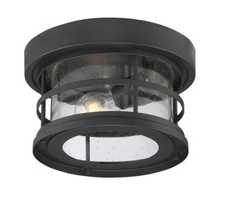 Barrett One Light Flush Mount in Black