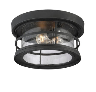 Barrett Two Light Flush Mount in Black