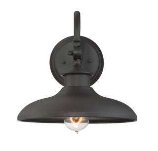 Raleigh One Light Wall Mount in Black