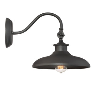 Raleigh One Light Wall Mount in Black