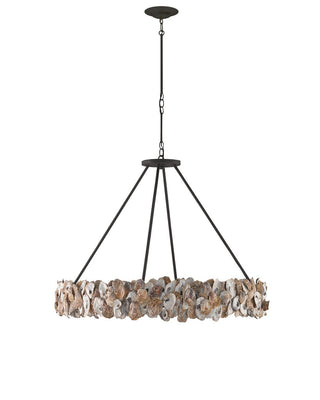 Oyster Shell Eight Light Chandelier in Natural/Textured Bronze