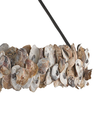Oyster Shell Eight Light Chandelier in Natural/Textured Bronze