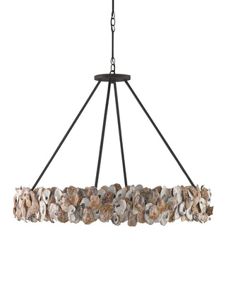 Oyster Shell Eight Light Chandelier in Natural/Textured Bronze