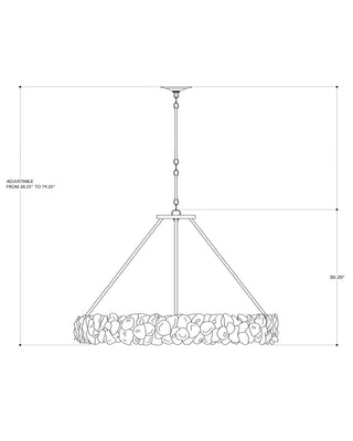 Oyster Shell Eight Light Chandelier in Natural/Textured Bronze