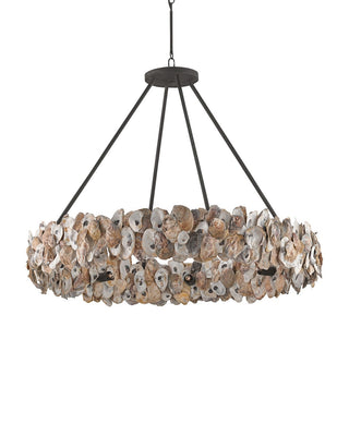 Oyster Shell Eight Light Chandelier in Natural/Textured Bronze