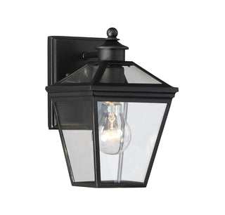 Ellijay One Light Wall Mount in Black