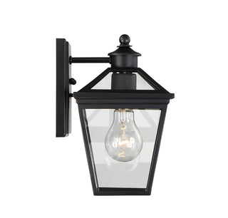 Ellijay One Light Wall Mount in Black
