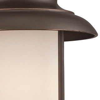 Bethany LED Outdoor Hanging Lantern in Forest Bronze