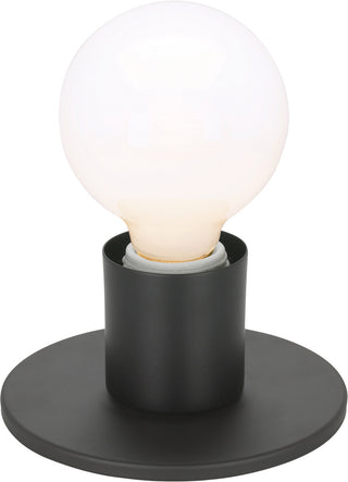 Dual Surface Mount One Light Dual Surface Mount in Dark Bronze