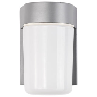 One Light Wall Lantern in Satin Aluminum