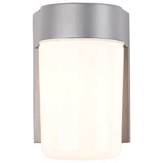 One Light Wall Lantern in Satin Aluminum
