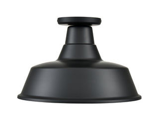 R Series 1-Light 14" Wide Semi-Flush Ceiling Fixture