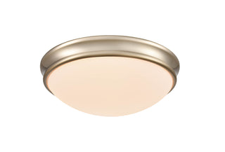 2-Light Flushmount Ceiling Light Modern Gold