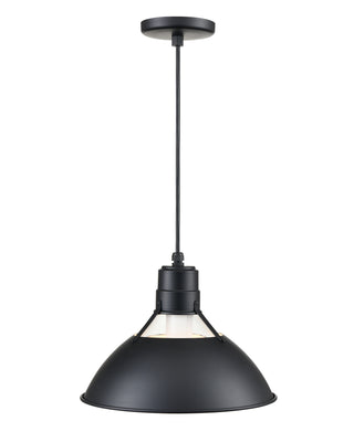 R Series 1-Light Cord Hung Glass Cone Satin Black