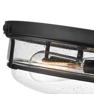 Mayson 2-Light Flushmount Ceiling Light Matte Black