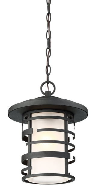 Lansing One Light Hanging Lantern in Textured Black