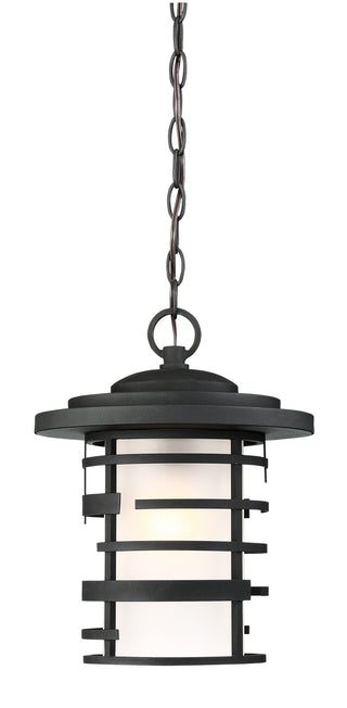 Lansing One Light Hanging Lantern in Textured Black