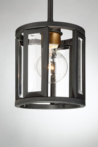 Payne One Light Mini Pendant in Midnight Bronze