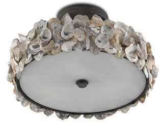 Oyster Shell Three Light Semi-Flush Mount in Natural/Textured Bronze/White