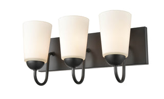 Ivey Lake 3-Light Vanity Matte Black