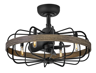 Eli Eli 22" LED Fandelier in Matte Black