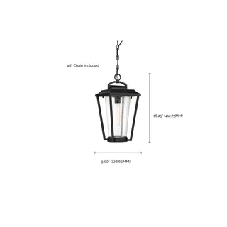 Lakeview One Light Hanging Lantern in Aged Bronze / Brass Accents