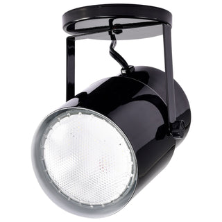One Light Plant Lamp in Black / Steel