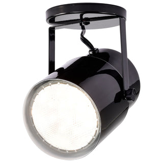 One Light Plant Lamp in Black / Steel