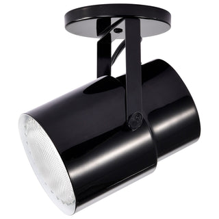 One Light Plant Lamp in Black / Steel