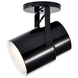 One Light Plant Lamp in Black / Steel