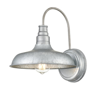 1-Light Outdoor Wall Sconce Galvanized