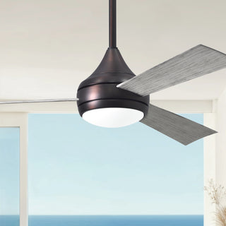 Donaire 52" Ceiling Fan in Brushed Bronze