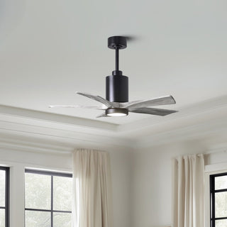 Patricia-5 42" Ceiling Fan in Matte Black