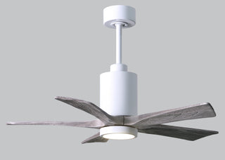Patricia-5 42" Ceiling Fan in Gloss White