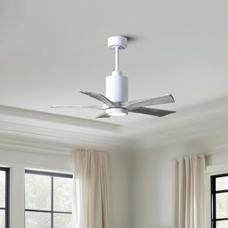 Patricia-5 42" Ceiling Fan in Gloss White