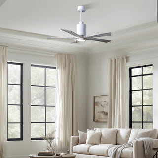 Patricia-5 52" Ceiling Fan in Gloss White