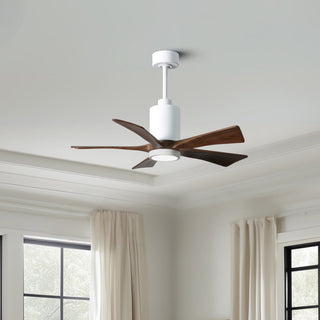 Patricia-5 42" Ceiling Fan in Gloss White