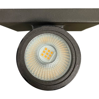 LED Wall Sconce in Bronze