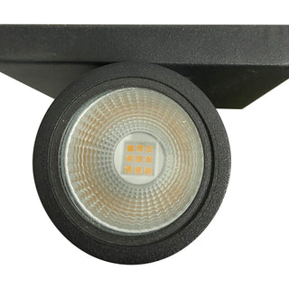 LED Wall Sconce in Bronze